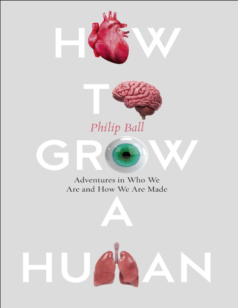 How to Grow a Human Adventures in Who We Are and How We Are Made